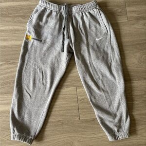 Michigan Epidemiology Sweatpants